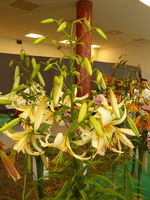 Foto: Dr. Peter Müller